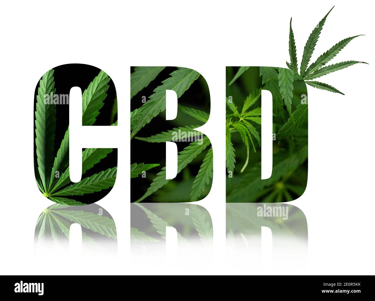CBD, cannabinol illustration concept, title with inlay - Cannabis Sativa Leaves - Marijuna - Miror effect Stock Photo