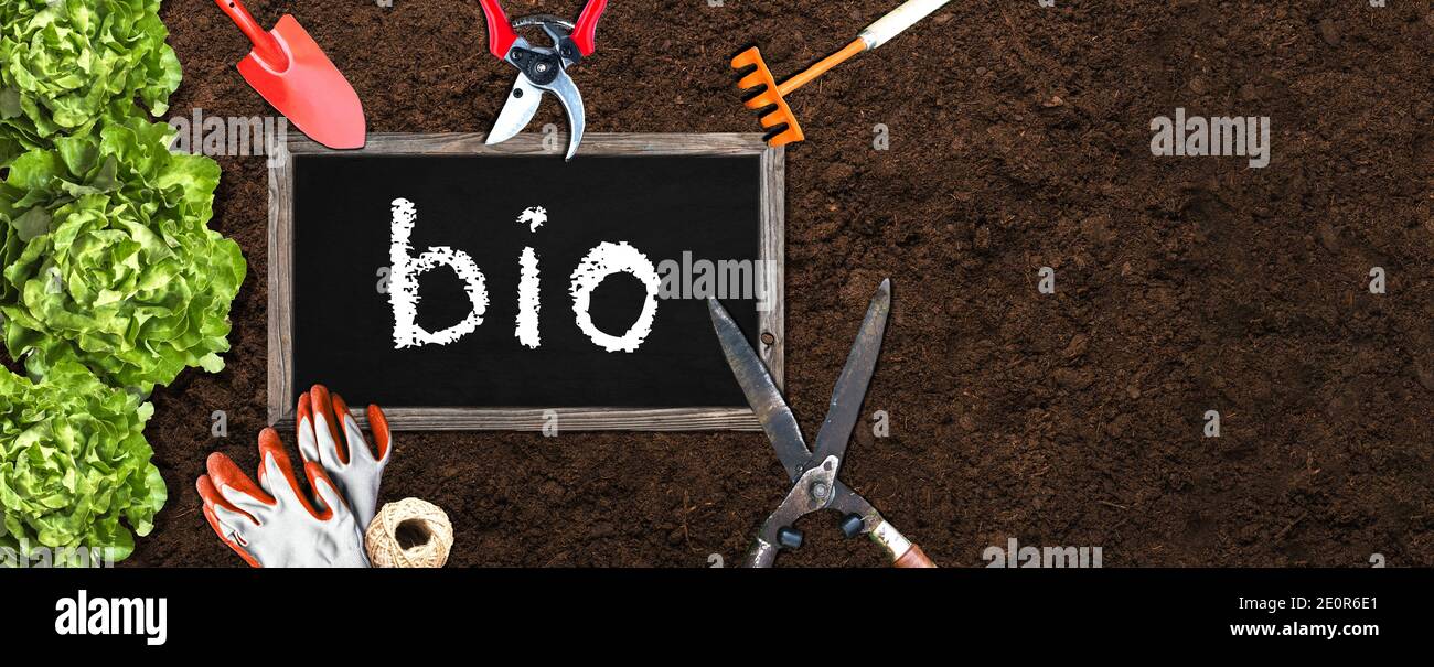 Jardin agriculture biologique, avec outils de jardinage légumes et titre Bio sur tableau noir Stock Photo