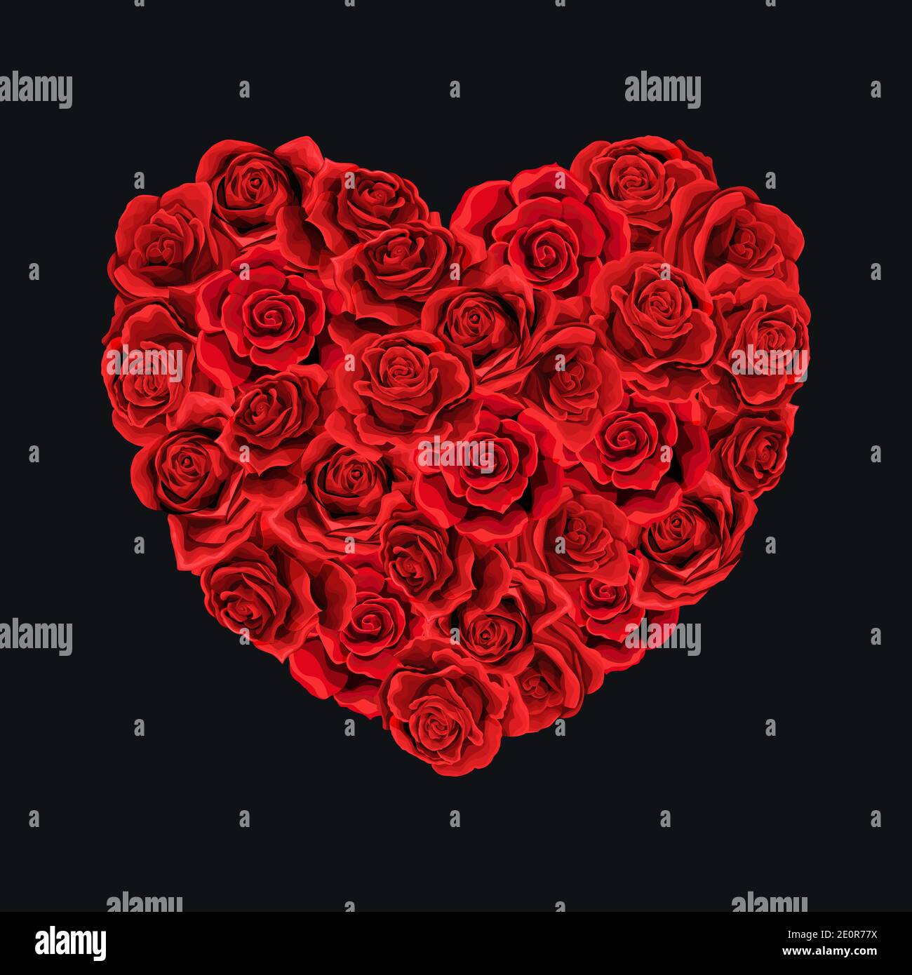 Valentines day red roses heart filled isolated black background Stock ...