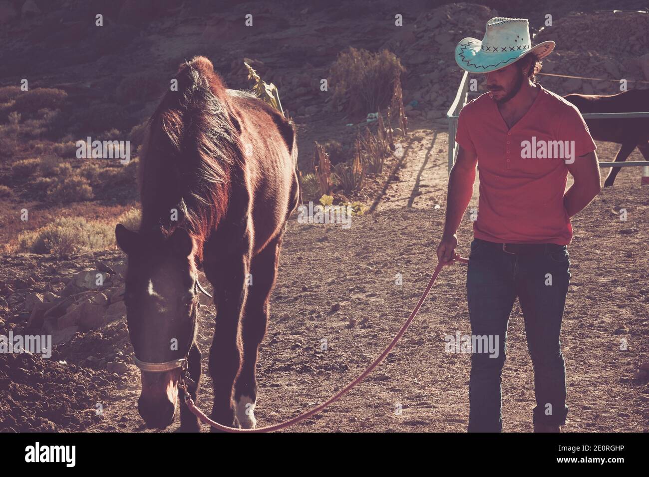 Man walk with a horse in country side farm and horses house - cowboy ...