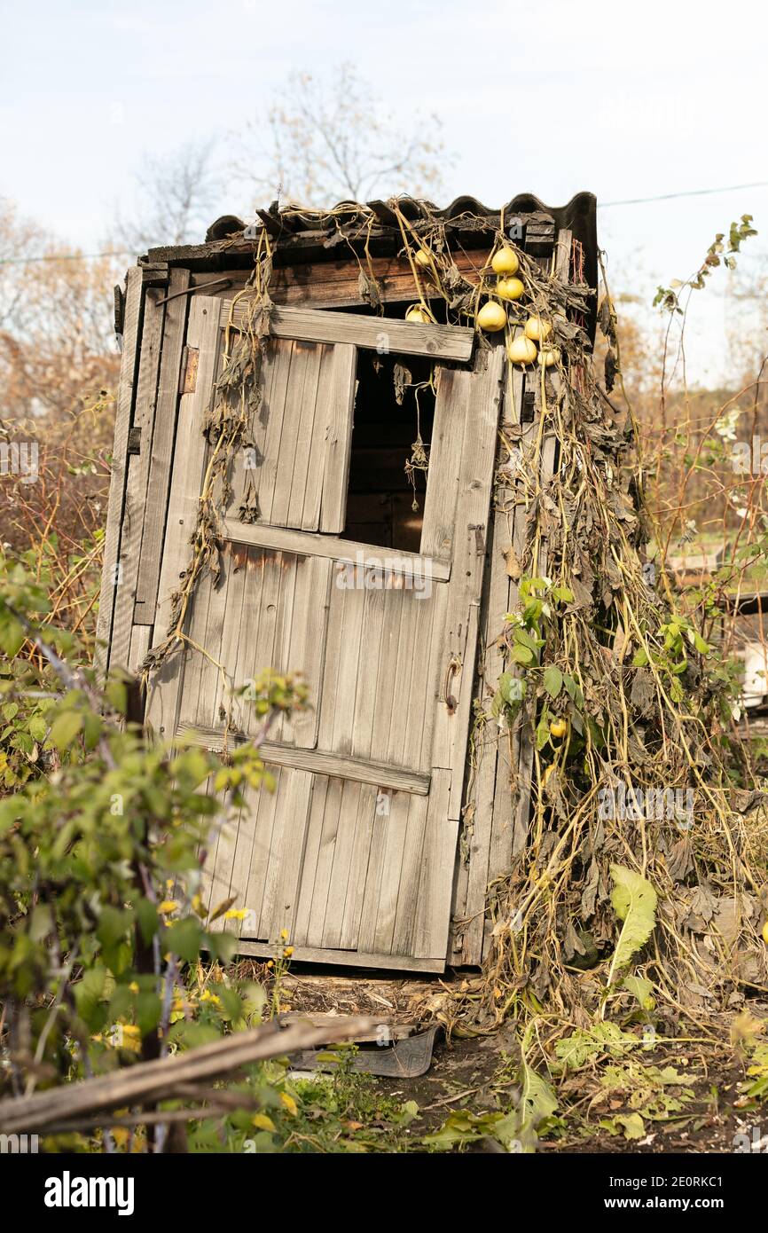 Rural Old Wooden Toilet In The Village Stock Photo Alamy