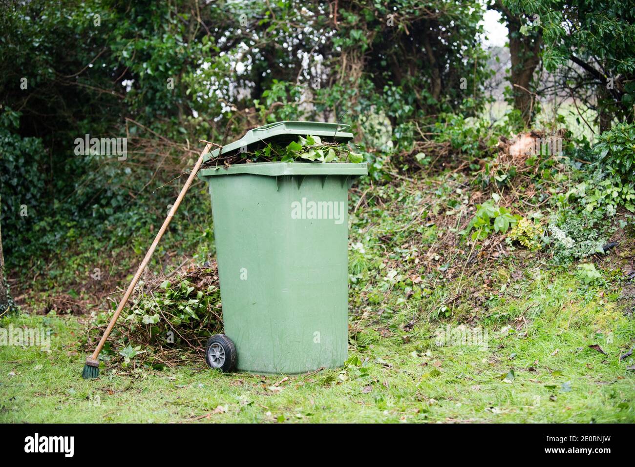 Packed large green garden waste wheelie bin on a lawn by a hedge with a broom leaning on it with
