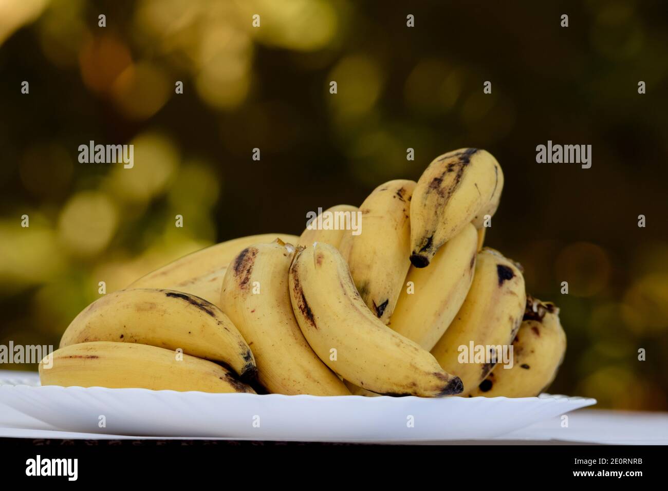 Banana Fresh Yellow Ripe Bananas Fruit Kela Banana-fruit Bunch Heap  Cavendish Musa Tropical Organic Food Closeup View Image Photo Stock Image -  Image of genus, musa: 259036975