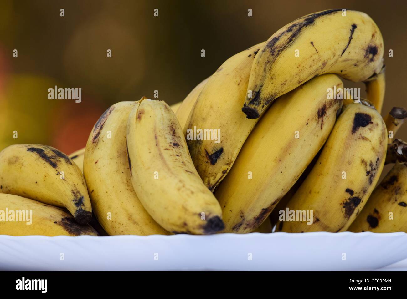 Heap of tasty Cardamom banana also known as Elaichi kela in hindi. Yelakki in karnataka Stock Photo