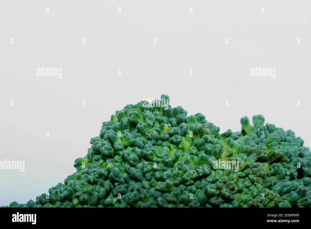 fresh green healthy vegetable brokoli macro on white background Stock Photo