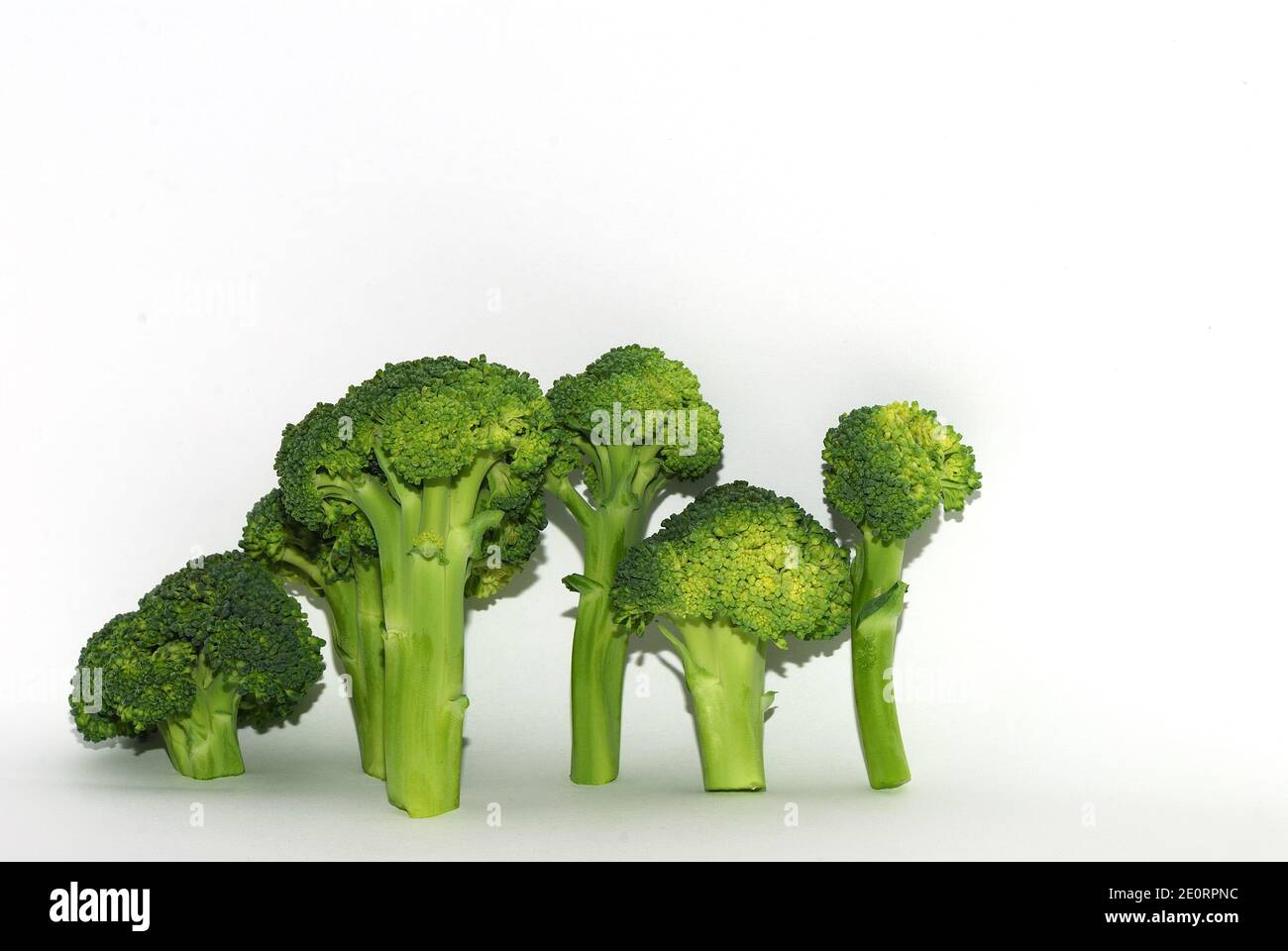fresh green healthy vegetable brokoli individual pieces on white background Stock Photo
