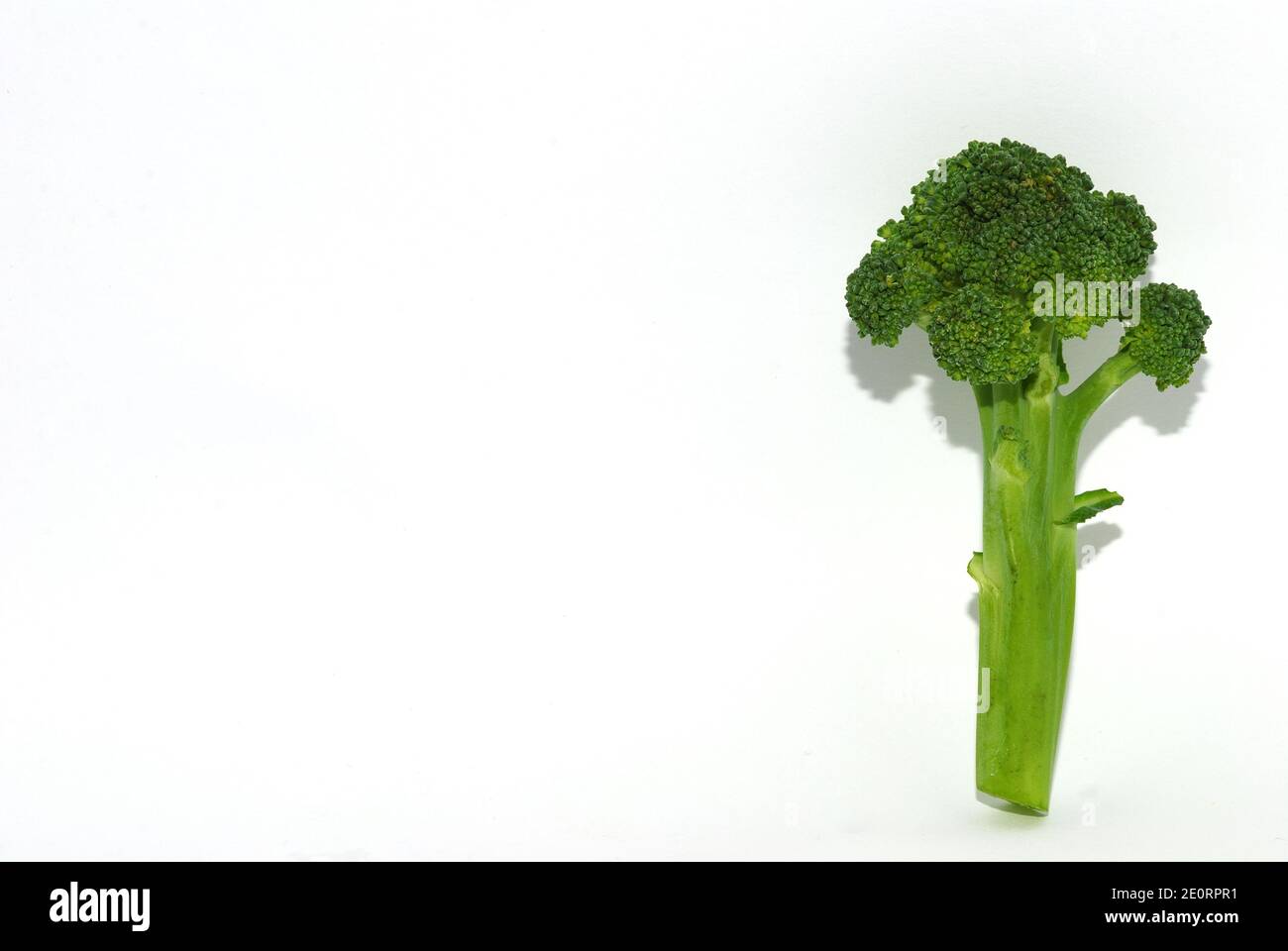fresh green healthy vegetable brokoli individually with shadow on white background Stock Photo