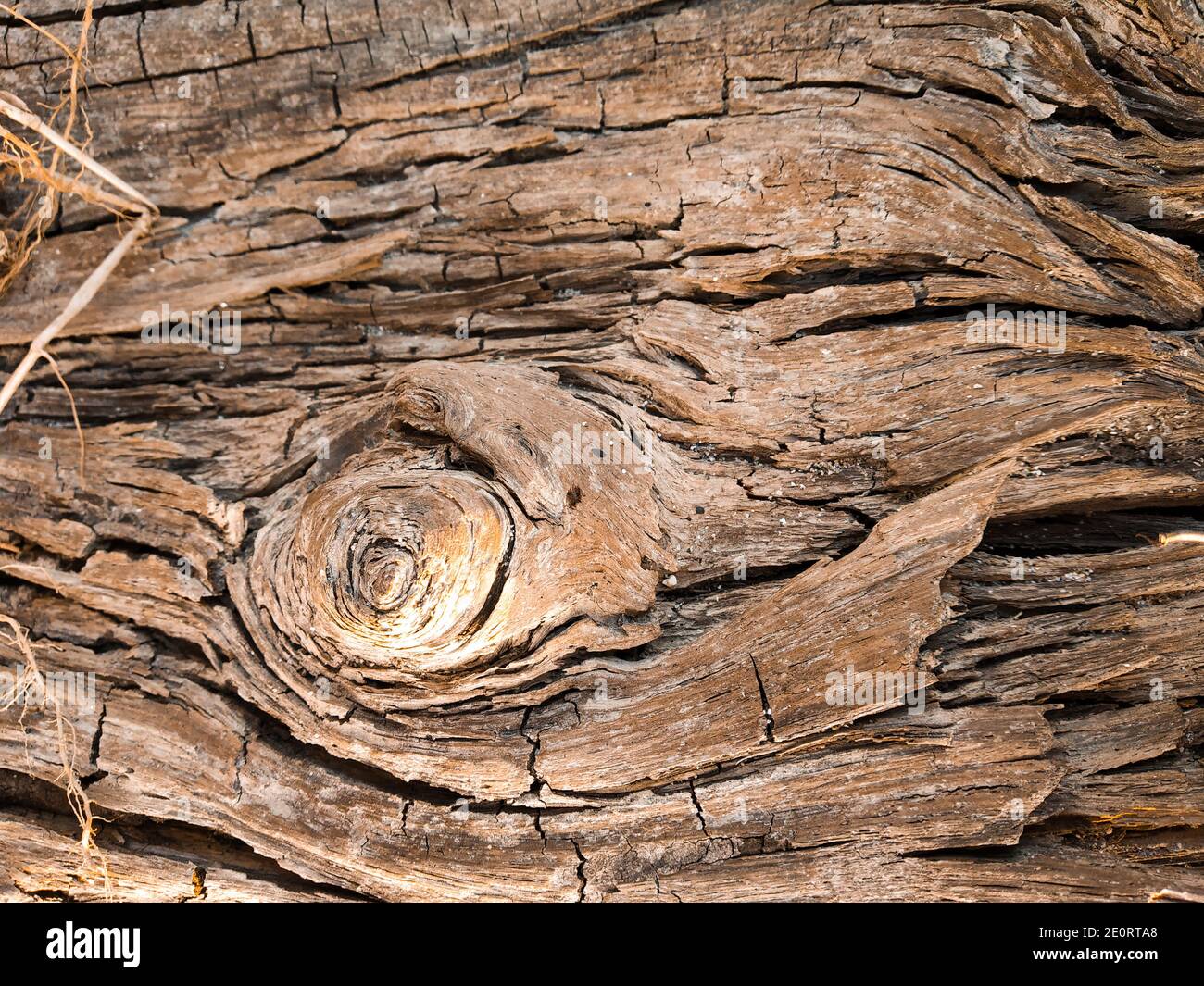 Close up old wood grain texture . Wooden texture background. Brown wood  texture, old wood texture,Old cracked and rotten  on the old  plan Stock Photo - Alamy