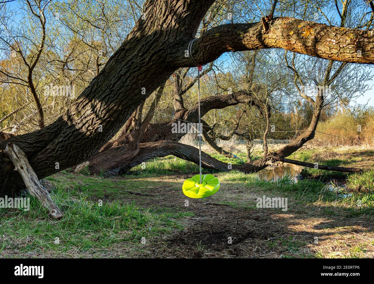 Green Swing Between The Trees Stock Photo Alamy