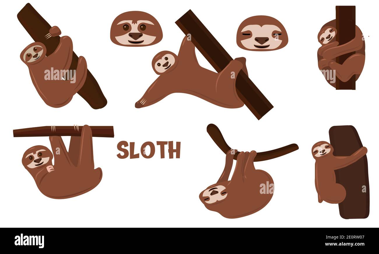 Set of cartoon sloths. Vector. Illustration for poster, greeting, birthday card, baby shower and party Stock Vector