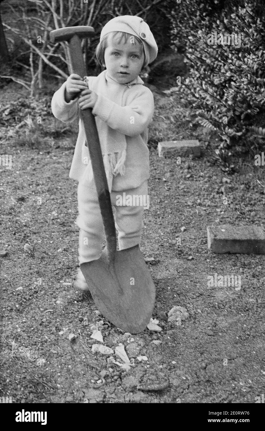 1940s, historical, outside a little girl holding the wooden handle of a garden spade....which is almost the same size as her! Stock Photo