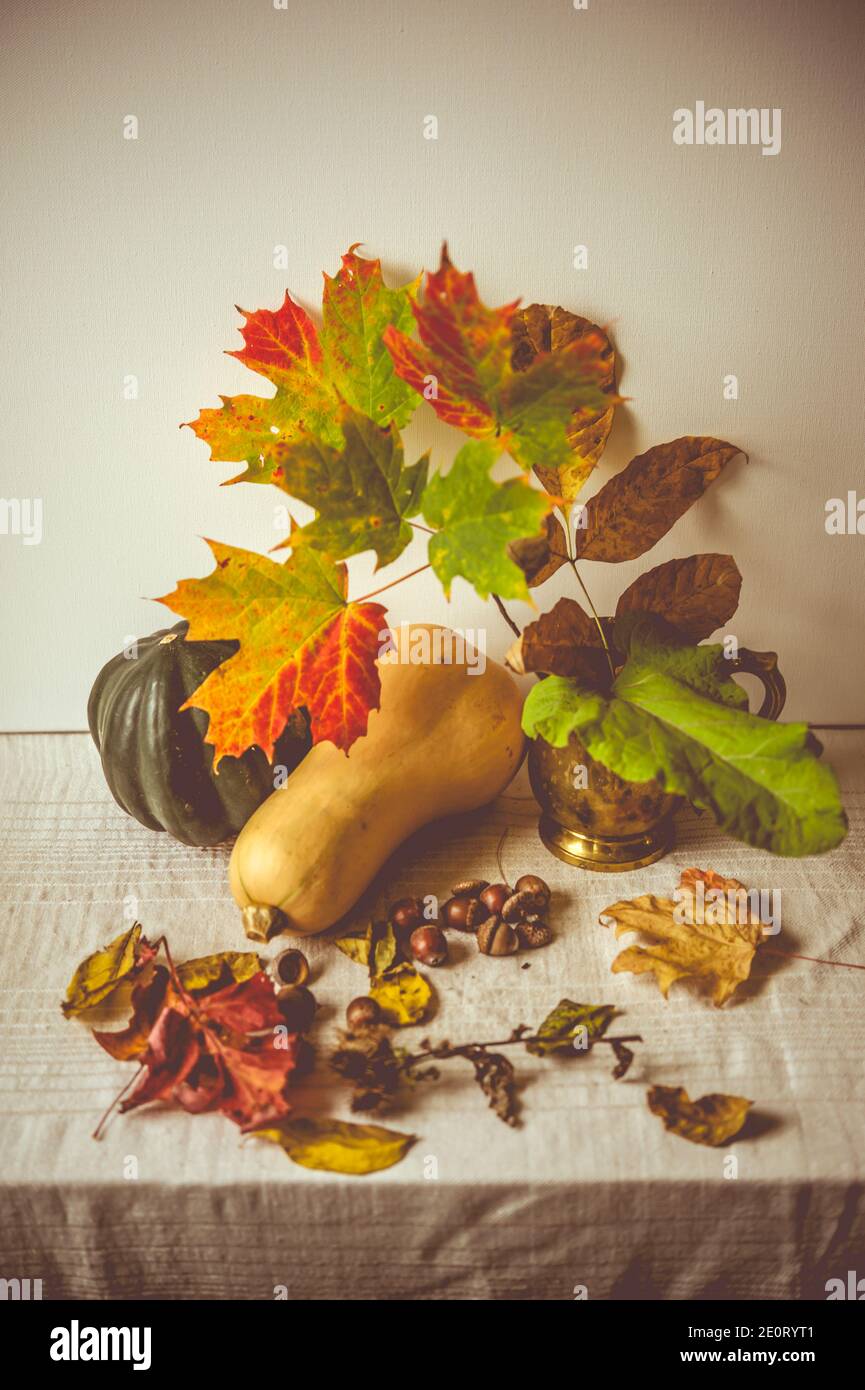still life with autumn leaves and acorns Stock Photo - Alamy