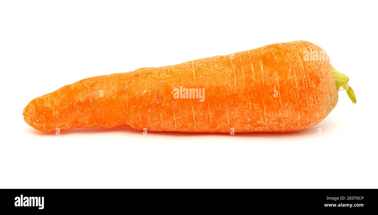 Large soil grown carrots isolated on white background Stock Photo