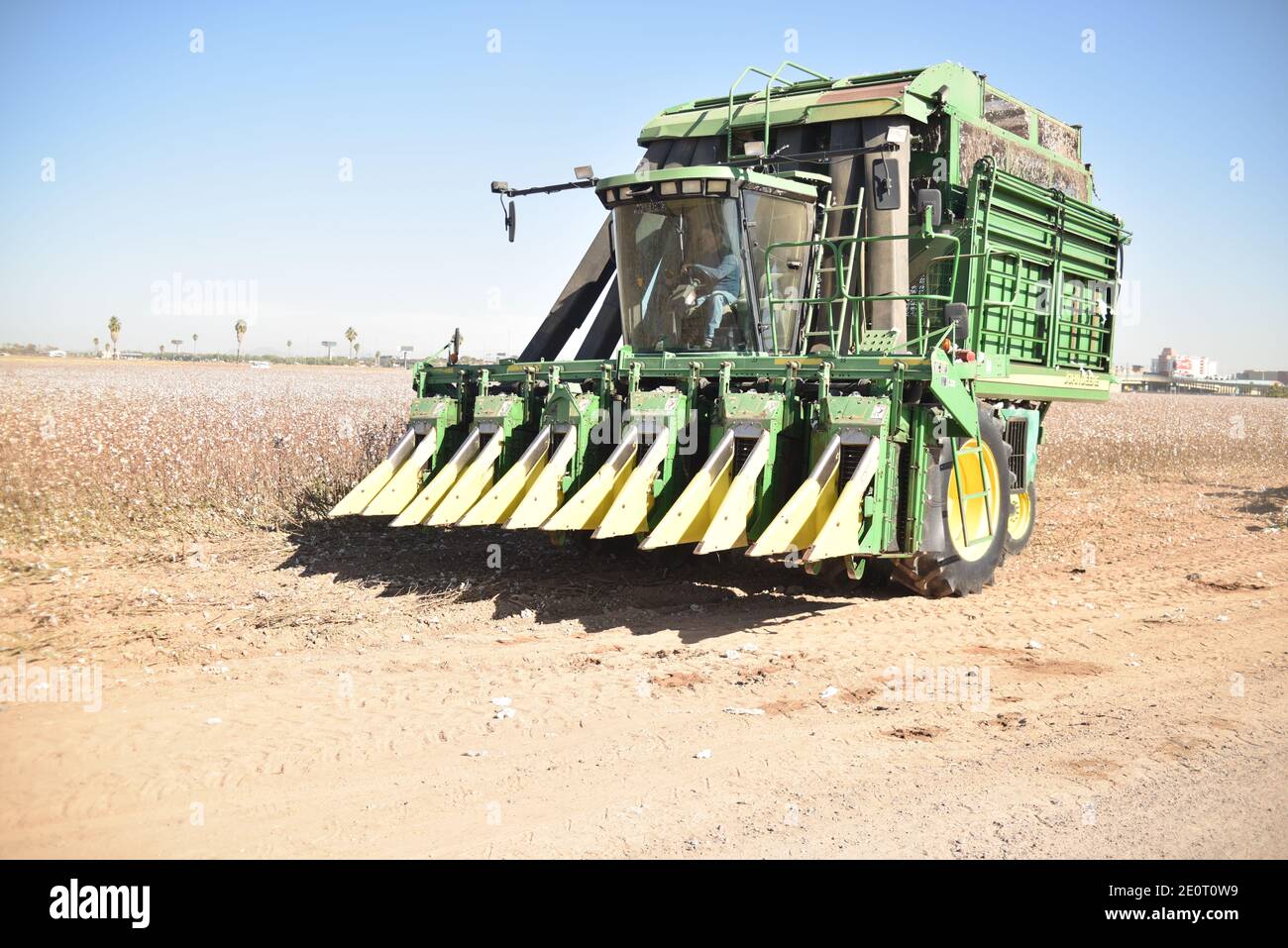 Glendale, AZ. U.S.A. 11/18/2020. MK Farms John Deere 9986 cotton