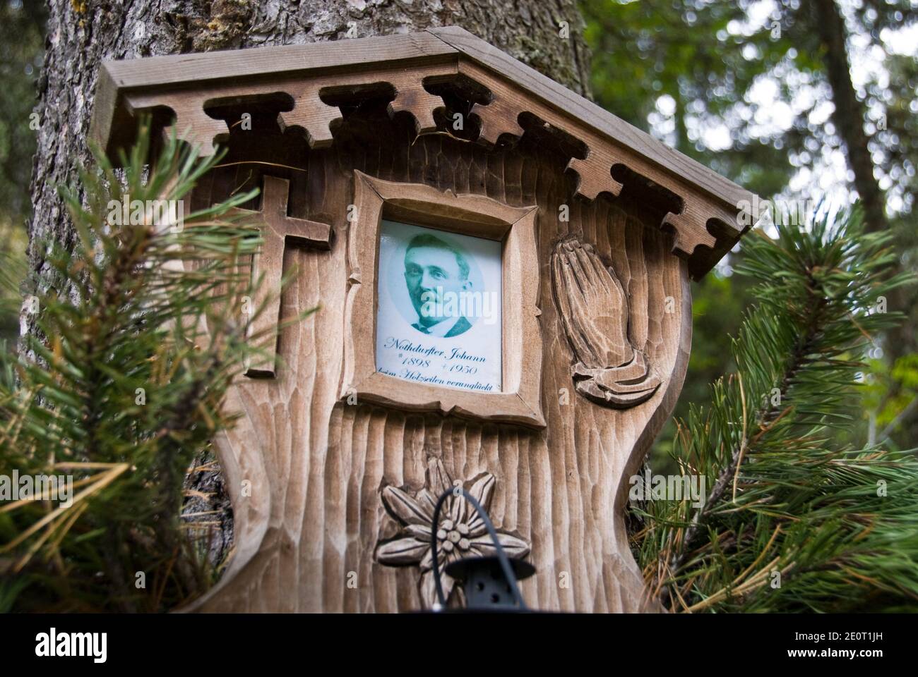 A hand carved wooden memorial to a friend of the forest and falls, Krimml Falls, Hohe Tauern National Park, Austria. Stock Photo