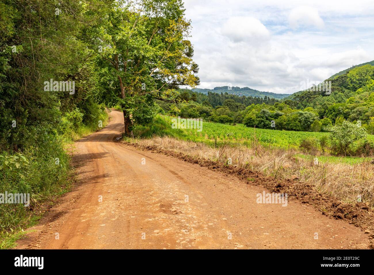 Dirty road, farm field and forest in Morro do Xaxim mountain, Igrejinha, Rio Grande do Sul, Brazil Stock Photo