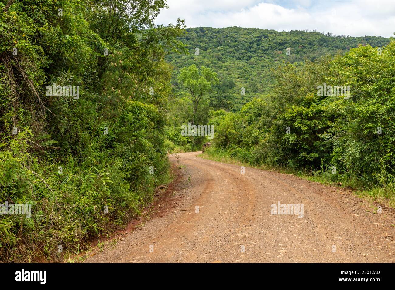 Dirty road and forest in Morro do Xaxim mountain, Igrejinha, Rio Grande do Sul, Brazil Stock Photo
