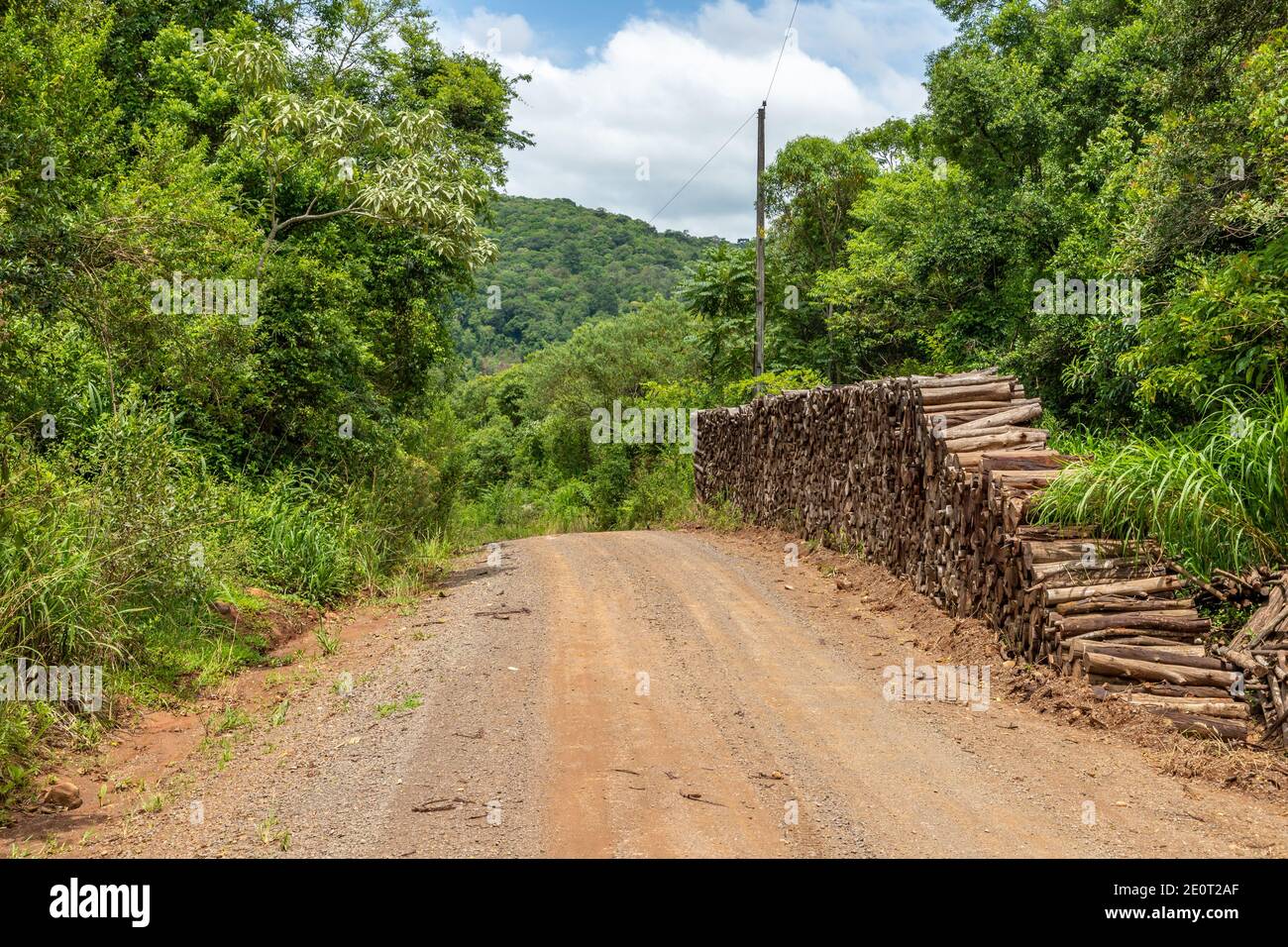 Dirty road, wood pile and forest in Morro do Xaxim mountain, Igrejinha, Rio Grande do Sul, Brazil Stock Photo