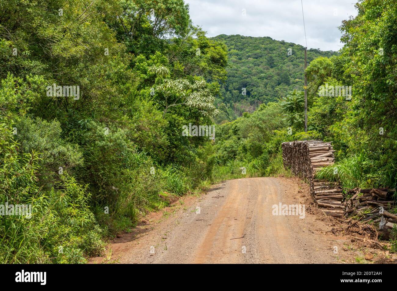 Dirty road, wood pile and forest in Morro do Xaxim mountain, Igrejinha, Rio Grande do Sul, Brazil Stock Photo