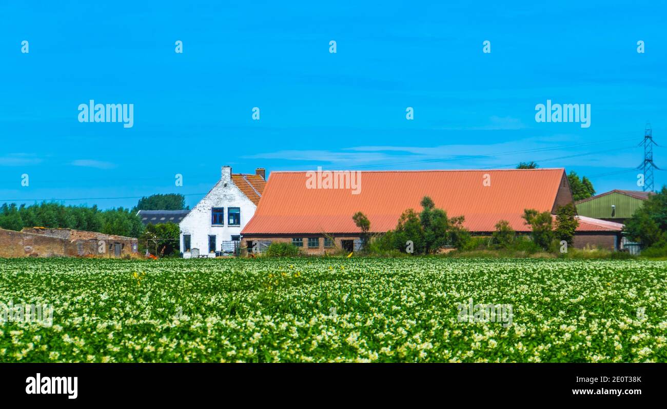 classical dutch country side architecture with landscape, Oostburg