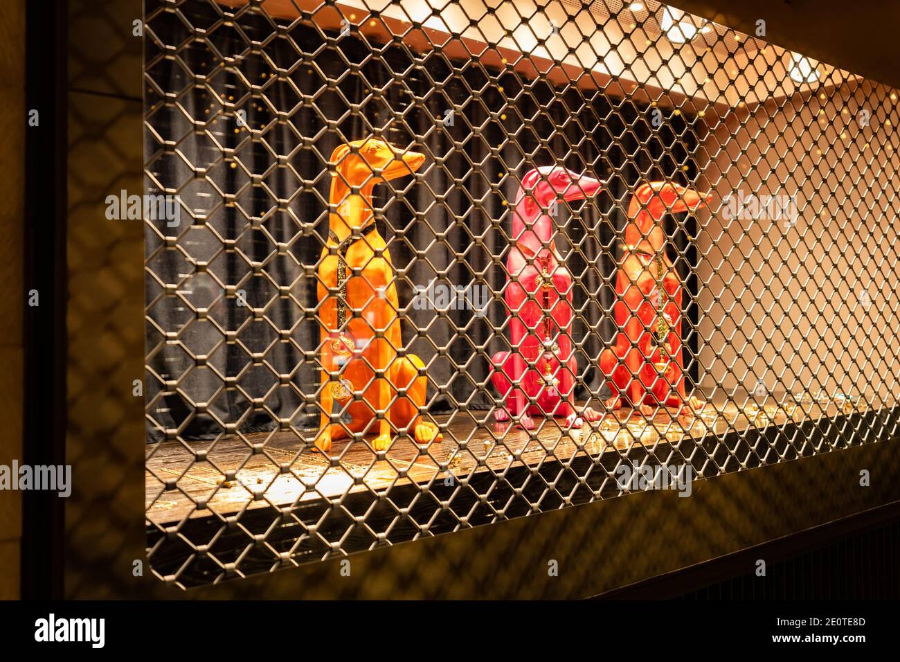 Red dog in decorated and illuminated store window with luxury jewelry