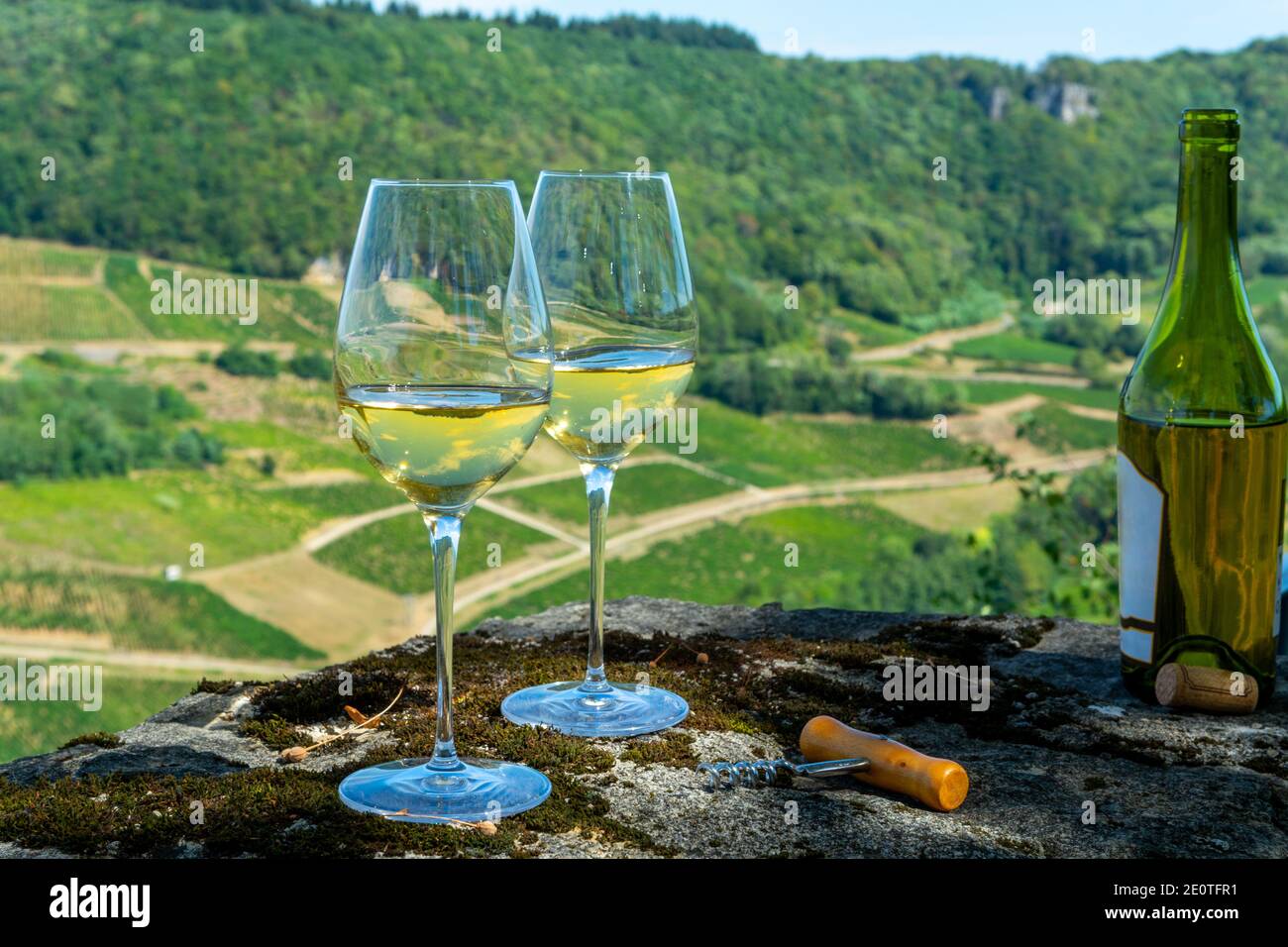 Outdoor tasting of white or jaune Jura wine on vineyards near Chateau