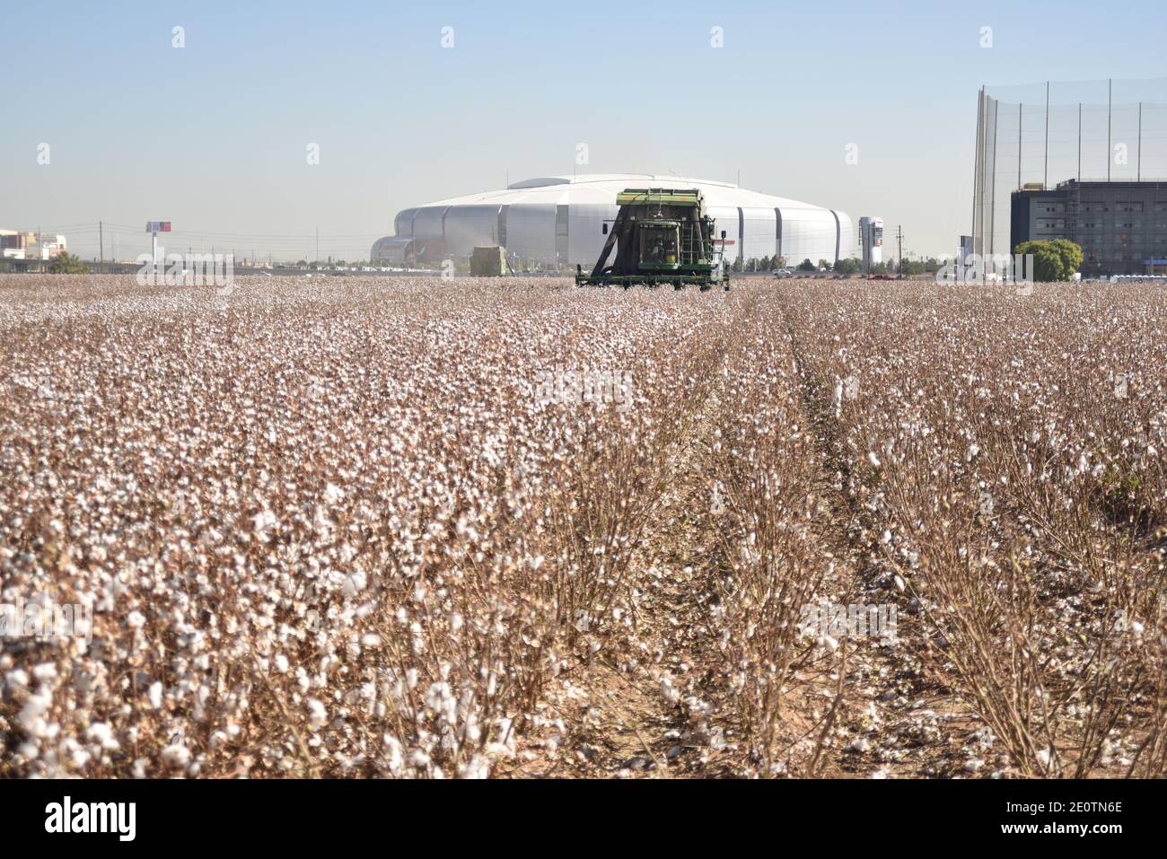 Glendale, AZ. U.S.A. 11/18/2020. MK Farms John Deere 9986 cotton