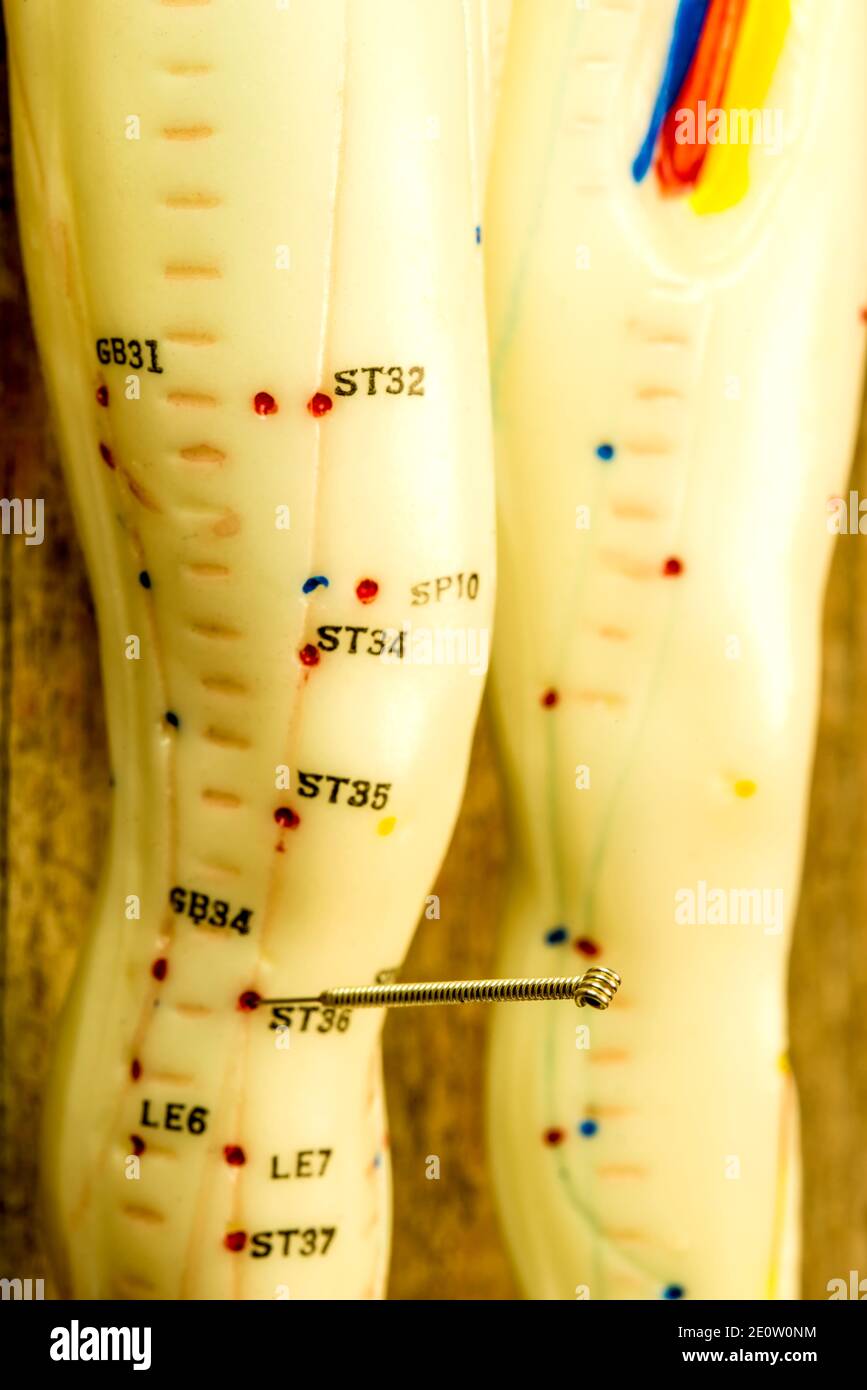 Acupuncture Demonstration On Model Stock Photo Alamy