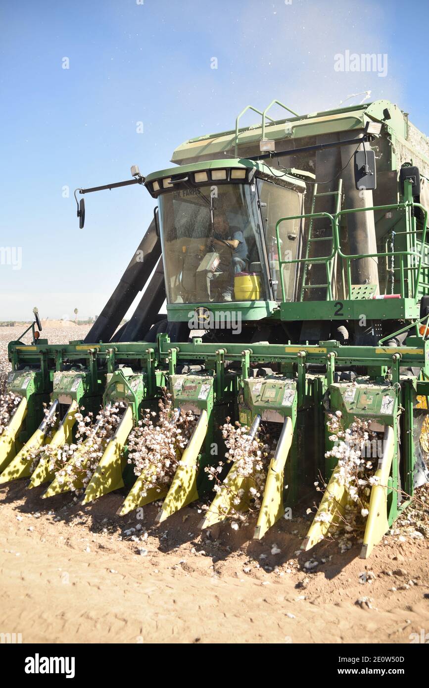 Glendale, AZ. U.S.A. 11/18/2020. MK Farms John Deere 9986 cotton