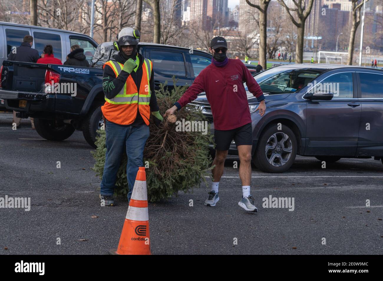 NEW YORK, NY JANUARY 2 A man brings a christmas tree to be shredded