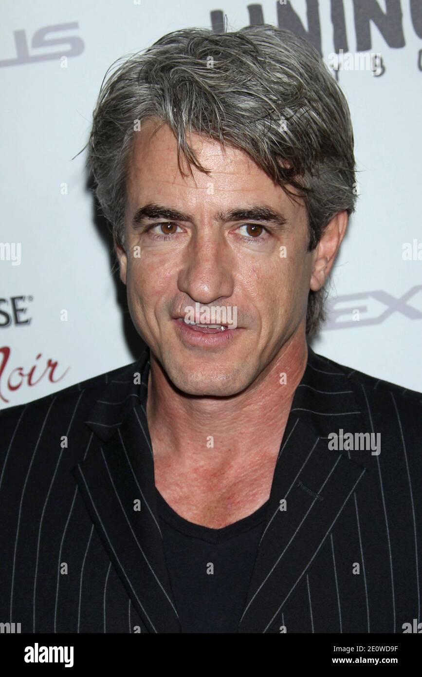 Dermot Mulroney, The Weinstein Company's premiere for Silver Linings