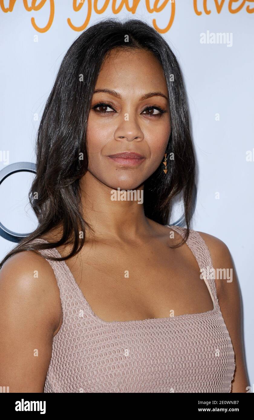 Zoe Saldana arrives at 'Trevor Live' honoring Katy Perry and Audi of America for The Trevor Project held at The Hollywood Palladium in Los Angeles, CA, USA on December 2, 2012. Photo by Lionel Hahn/ABACAPRESS.COM Stock Photo