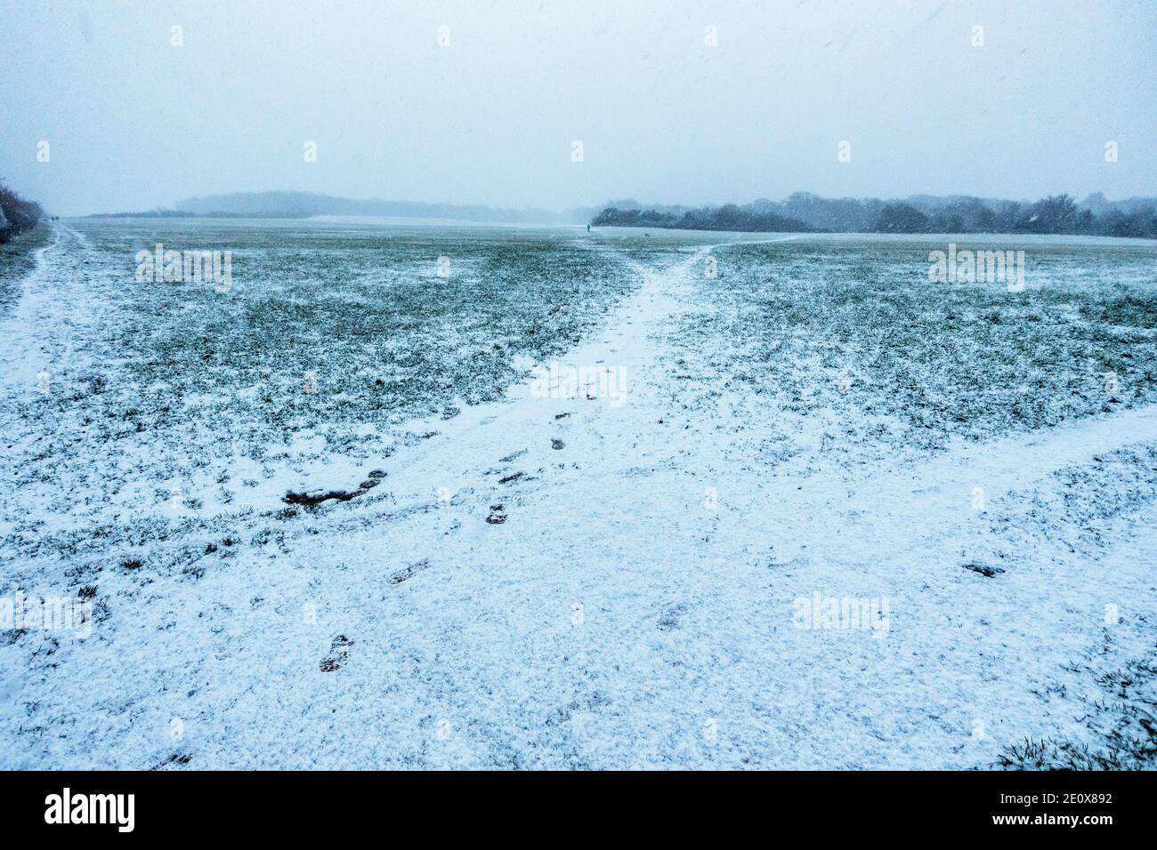 Fresh snow just starting to cover farmers field also covering public right of way paths Stock Photo