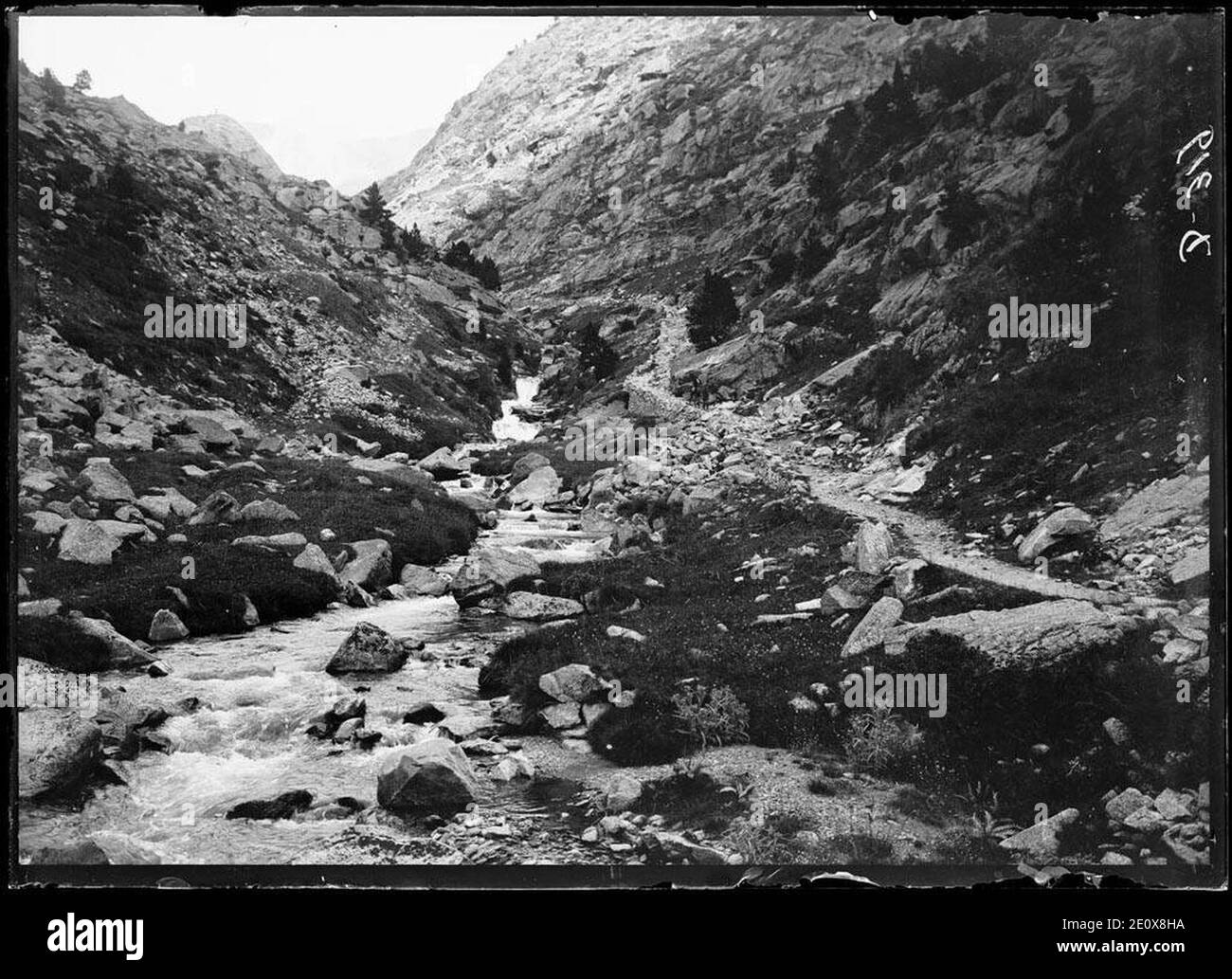 Les grades de Soaso a la vall d'Ordesa. Stock Photo