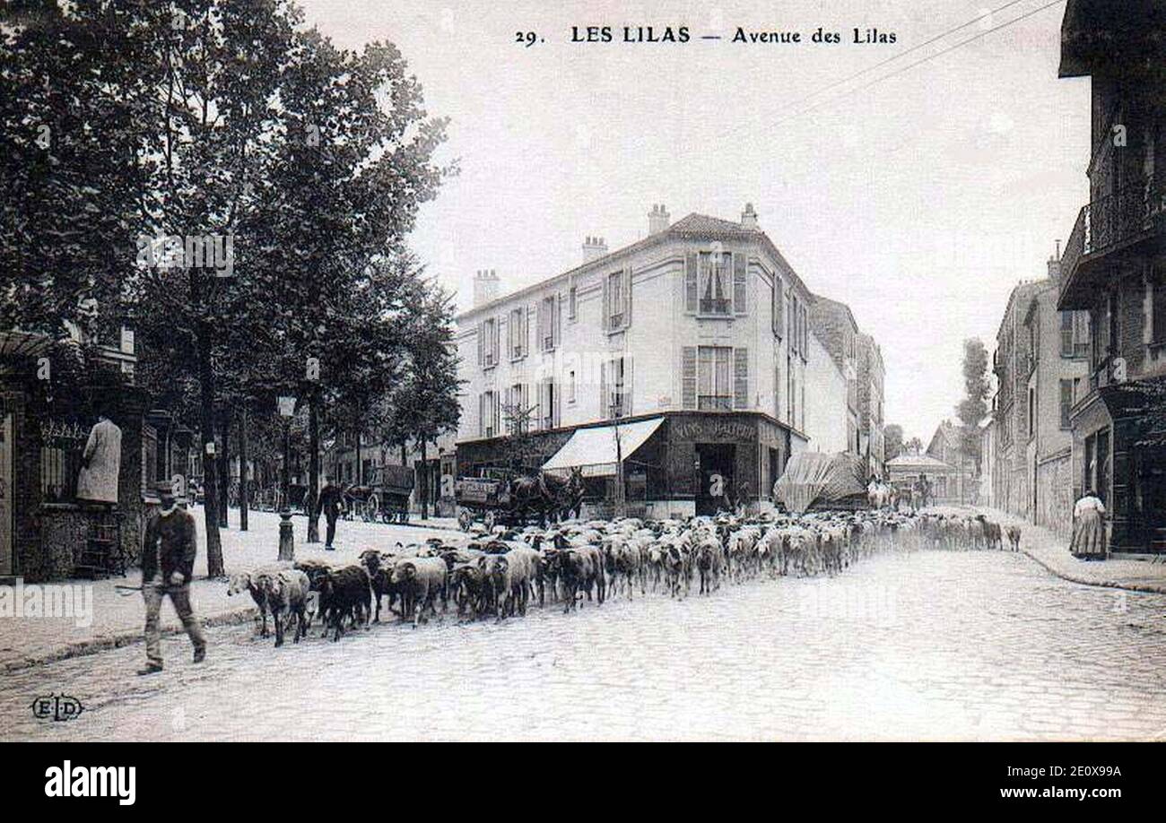 Les Lilas Avenue des Lilas Stock Photo Alamy