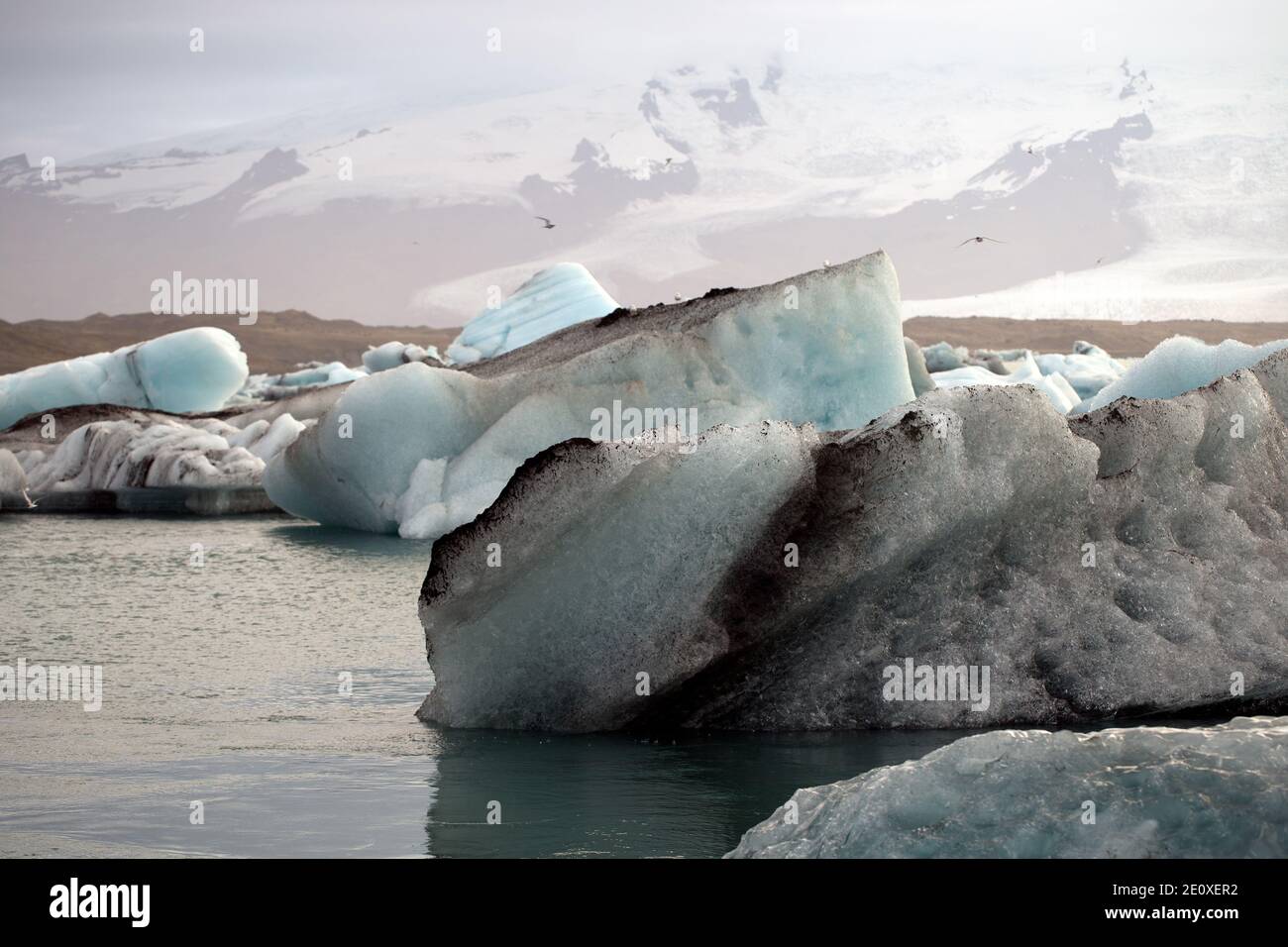 dirty ice floes floating in glacier lagoon Stock Photo - Alamy