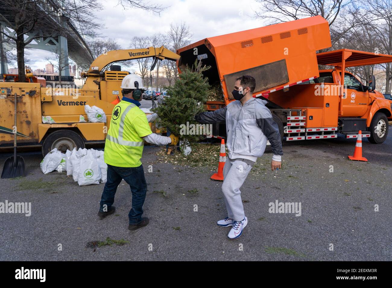 Mulched trees hires stock photography and images Alamy