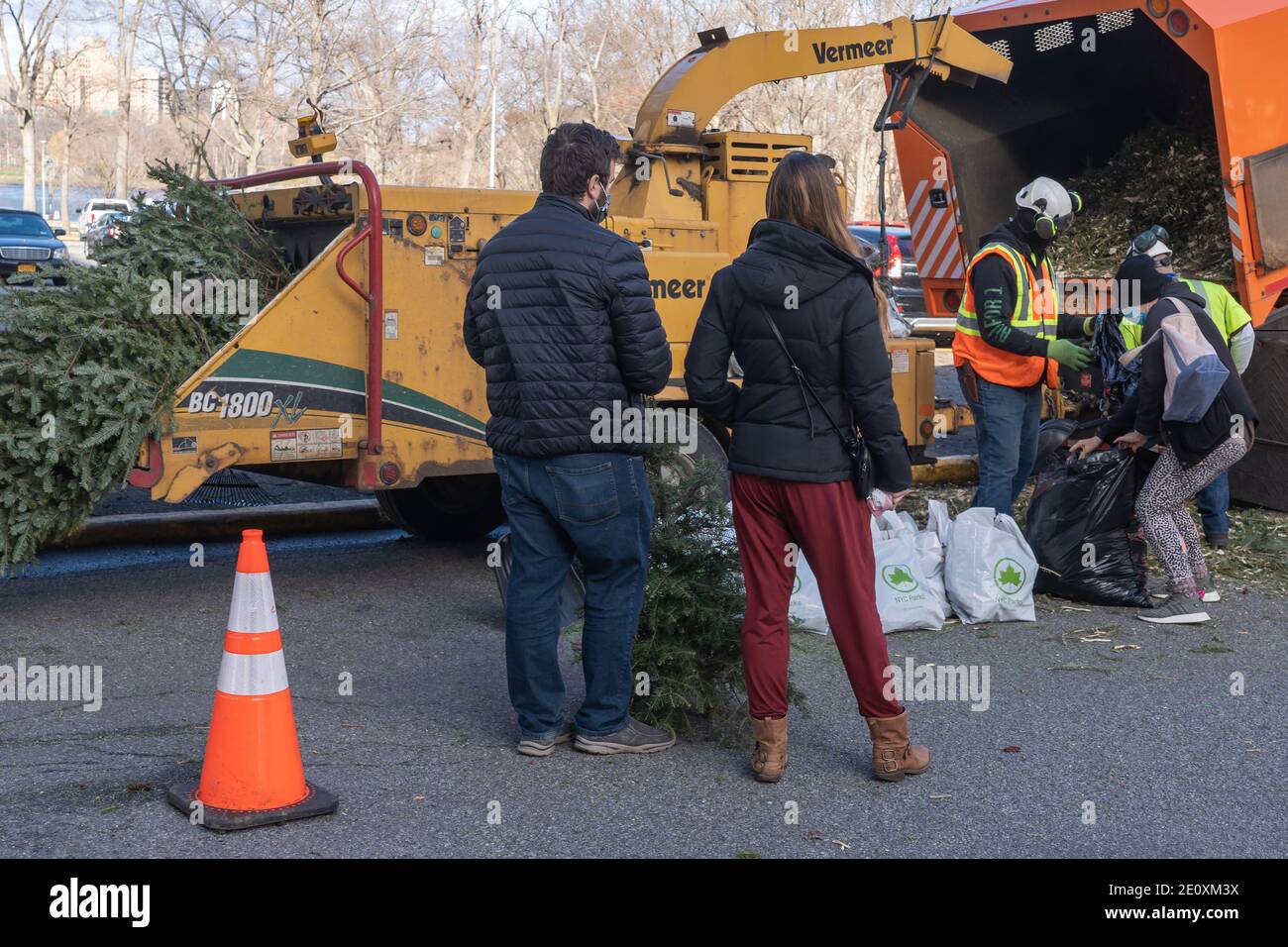 Mulched trees hires stock photography and images Alamy