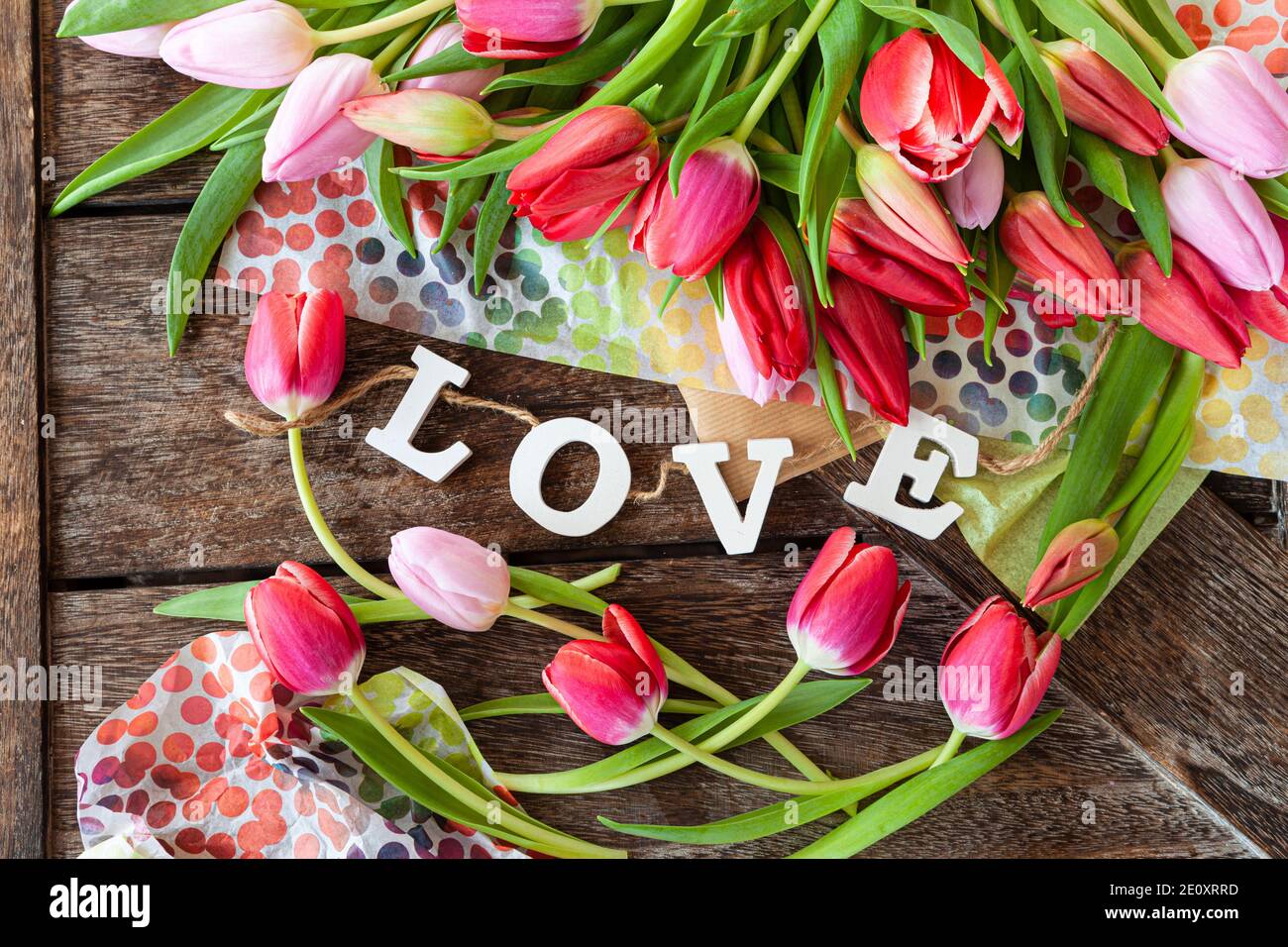 Colorful Fresh Tulips Stock Photo