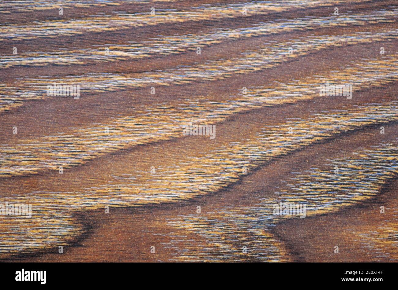 Wavy natural pattern on a flat surface of dark wood. Background ...