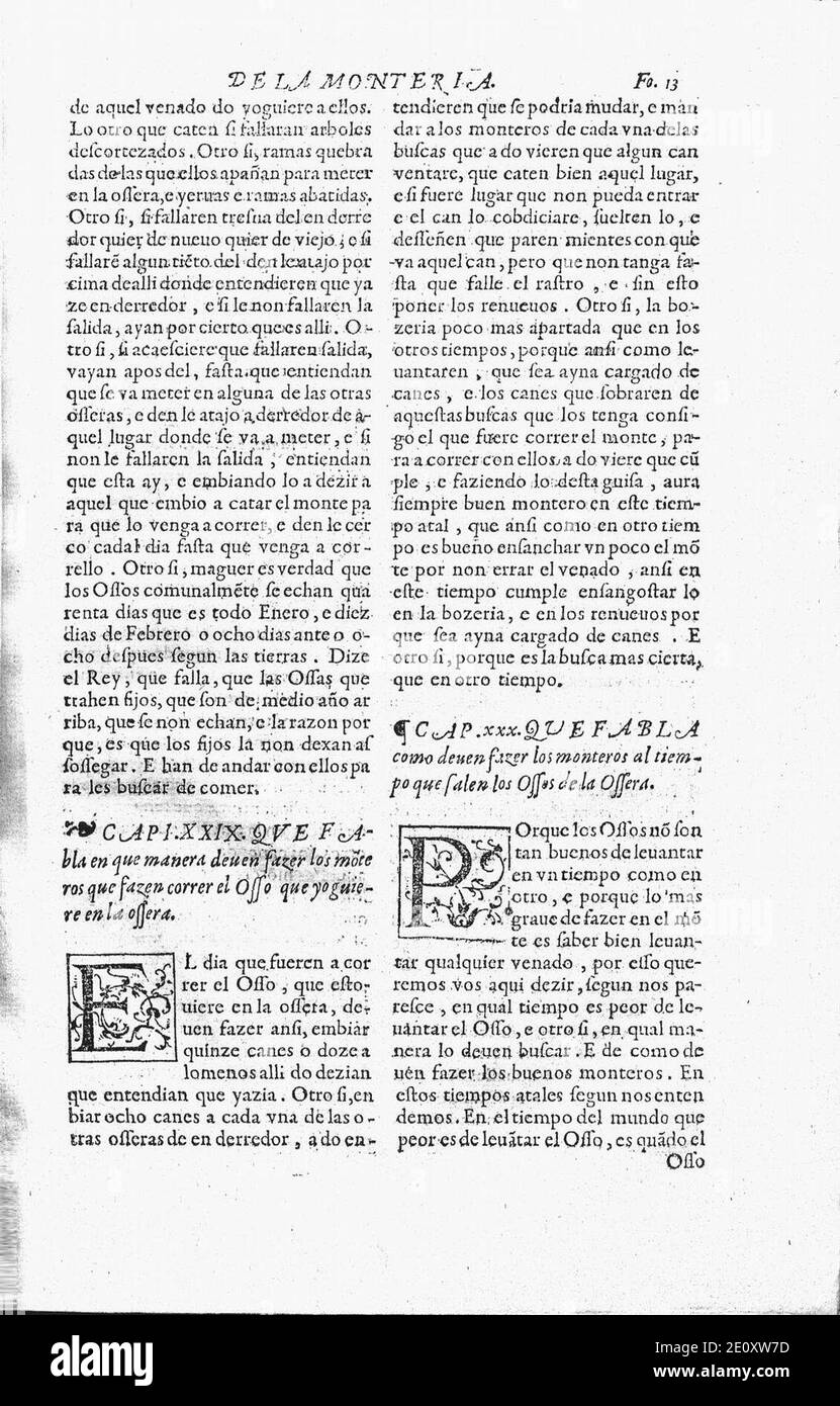 Libro de la monteria fol 13, recto. Stock Photo