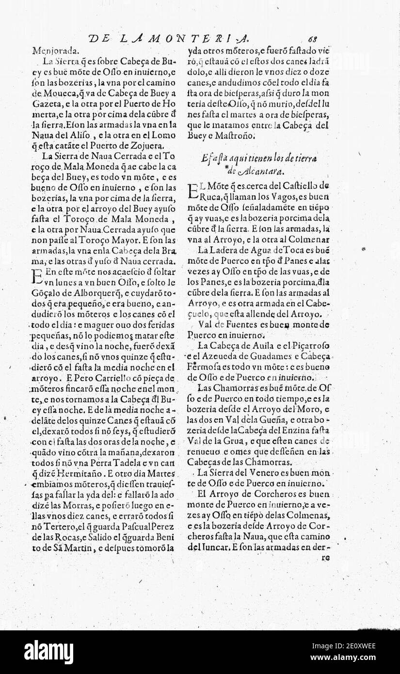 Libro de la monteria fol 76, recto. Stock Photo