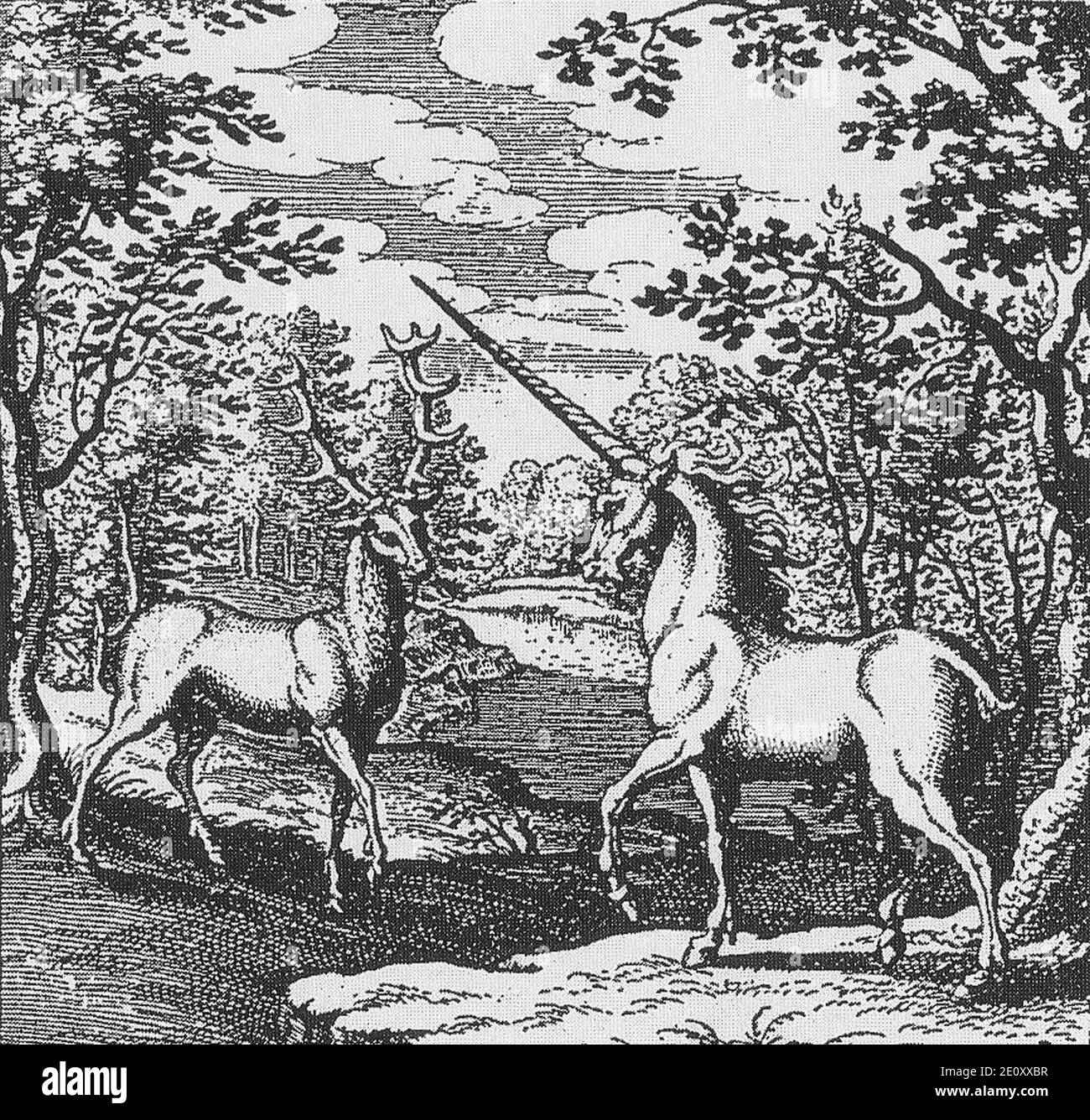 Licorne Black and White Stock Photos & Images - Alamy