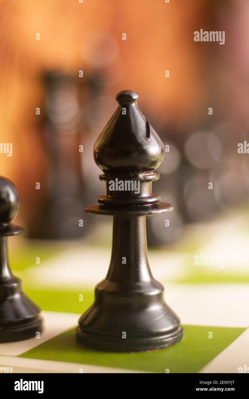 Chessmaster stock image. Image of face, bishop, competition - 14118299