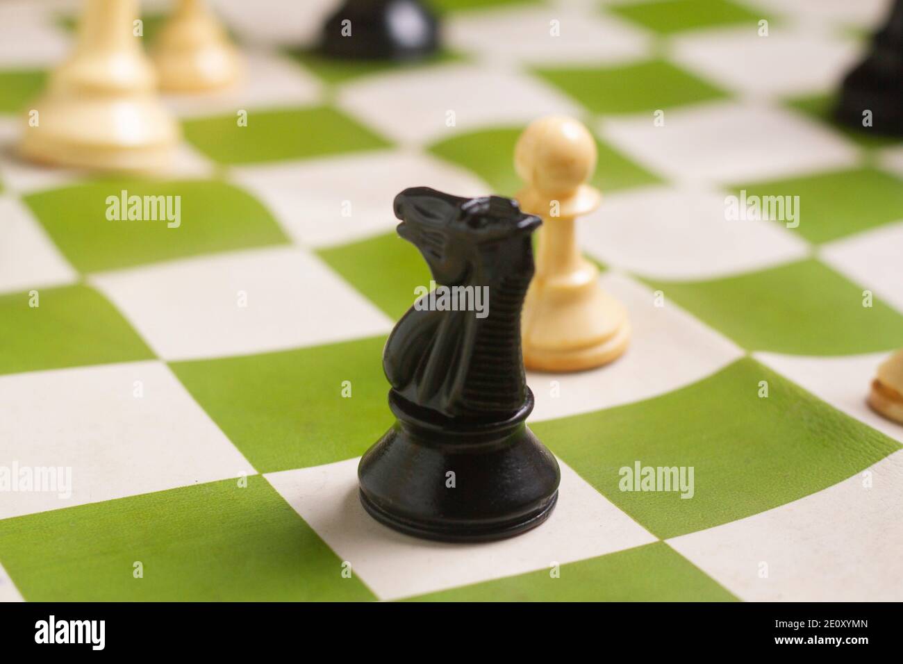 Four Chess Piece Knight on a Chess Board Stock Photo - Image of board,  army: 138703686