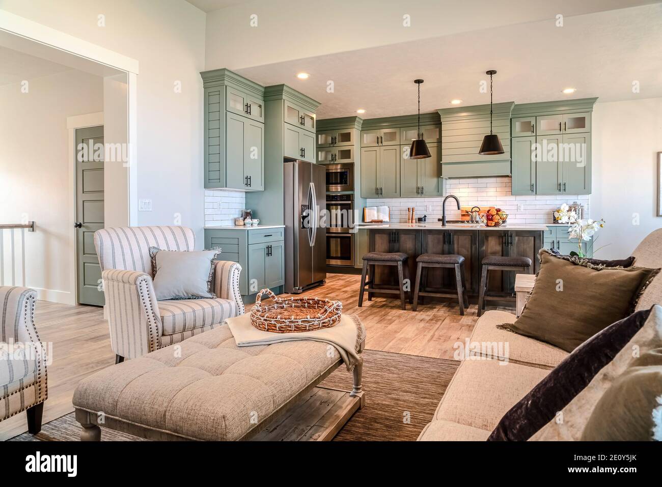 Cozy furniture in living room with view of the cooking area and kitchen