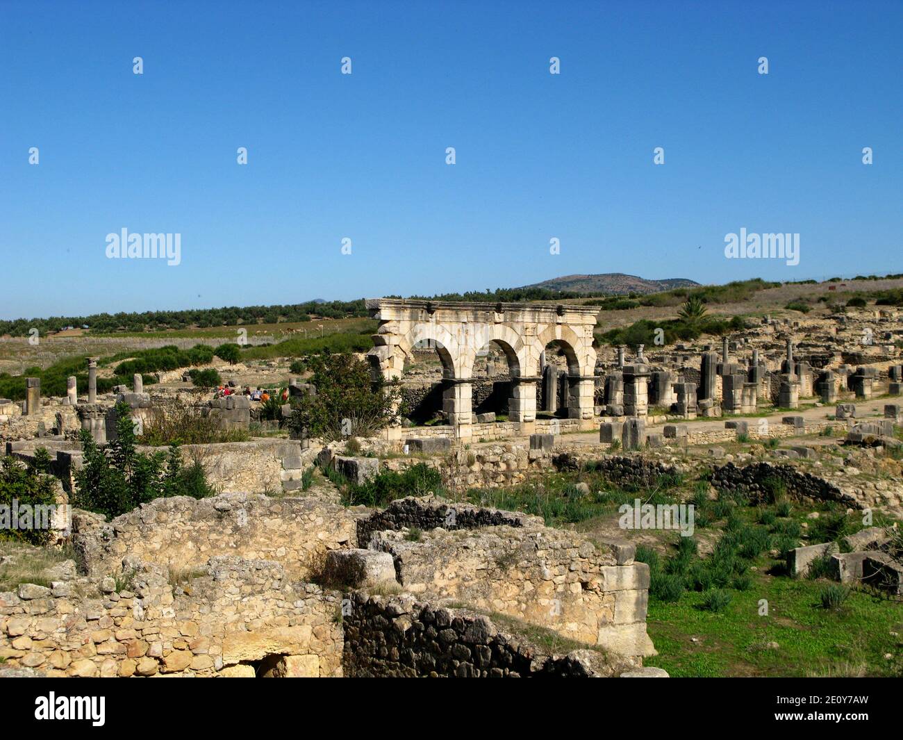 Ancient roman ruins in Volubilis, Morocco, Nord Africa Stock Photo Alamy