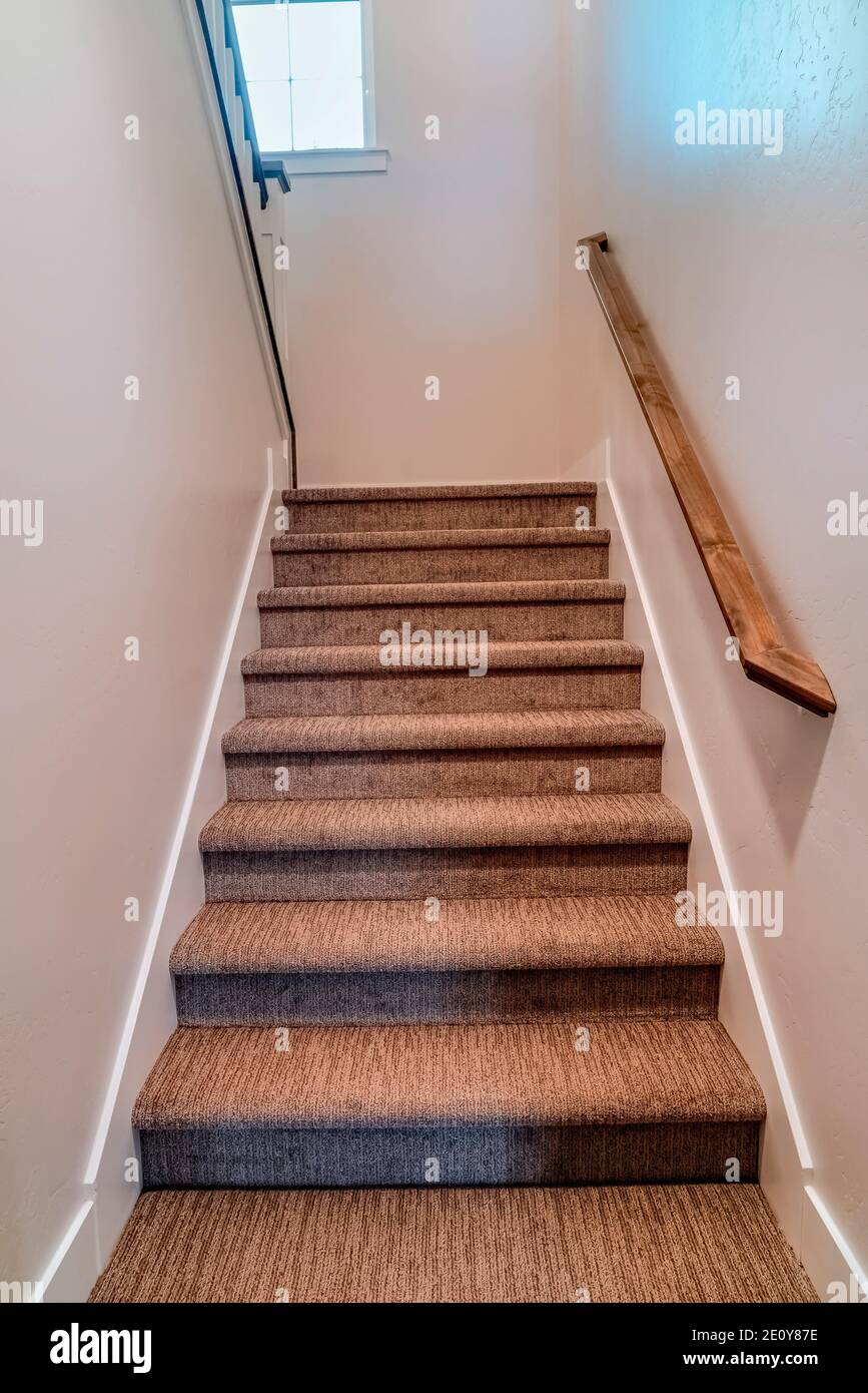 Stairway inside home with wall mounted wooden handrail and carpet on
