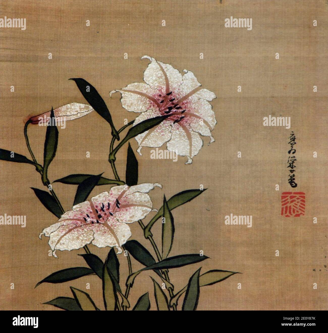 蟷螂子 WHITE OUT シルクスクリーン ED20 蟷螂子 シルクスクリーン ed