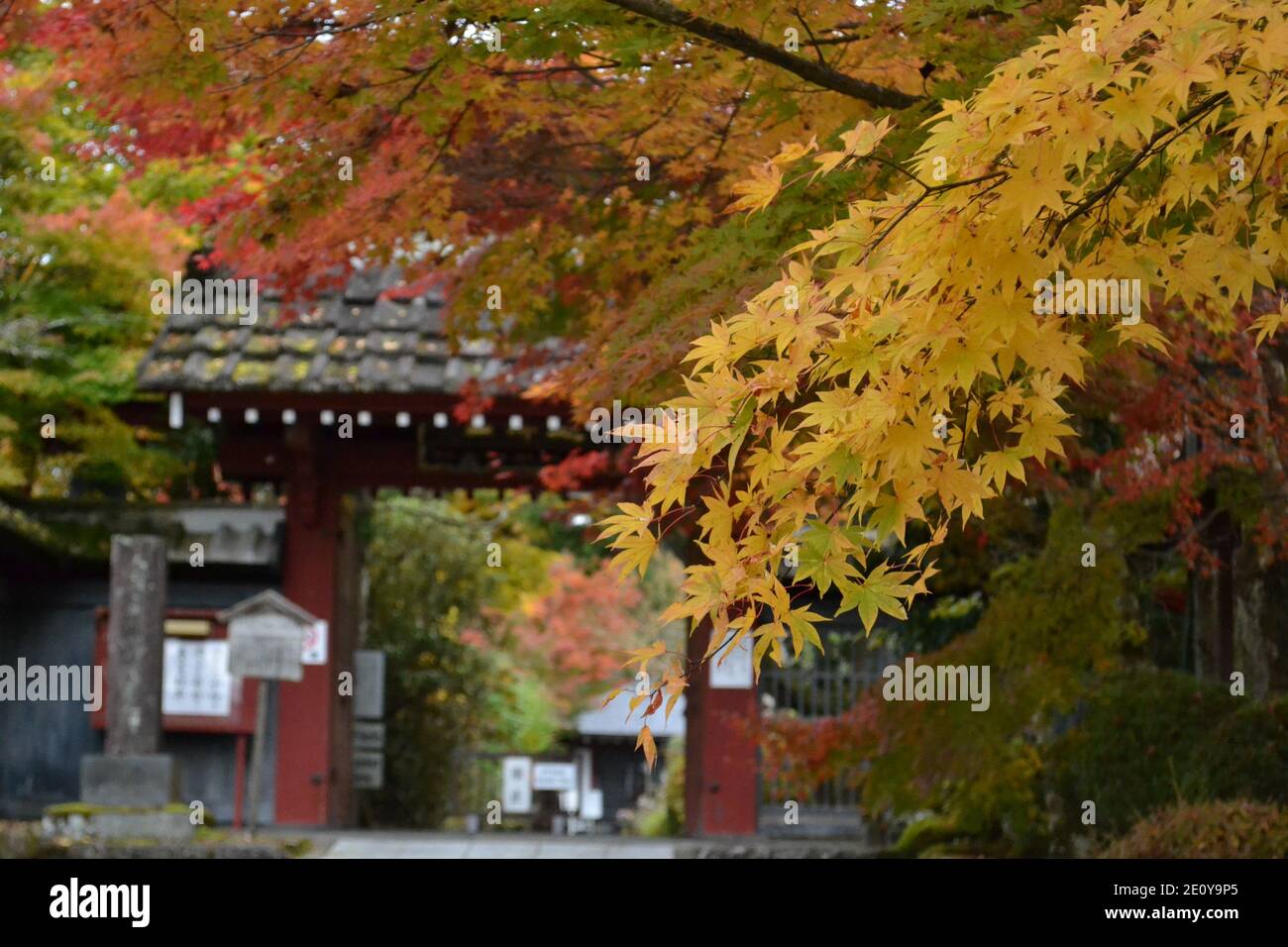 Autumn in Nikko, Japan Stock Photo Alamy